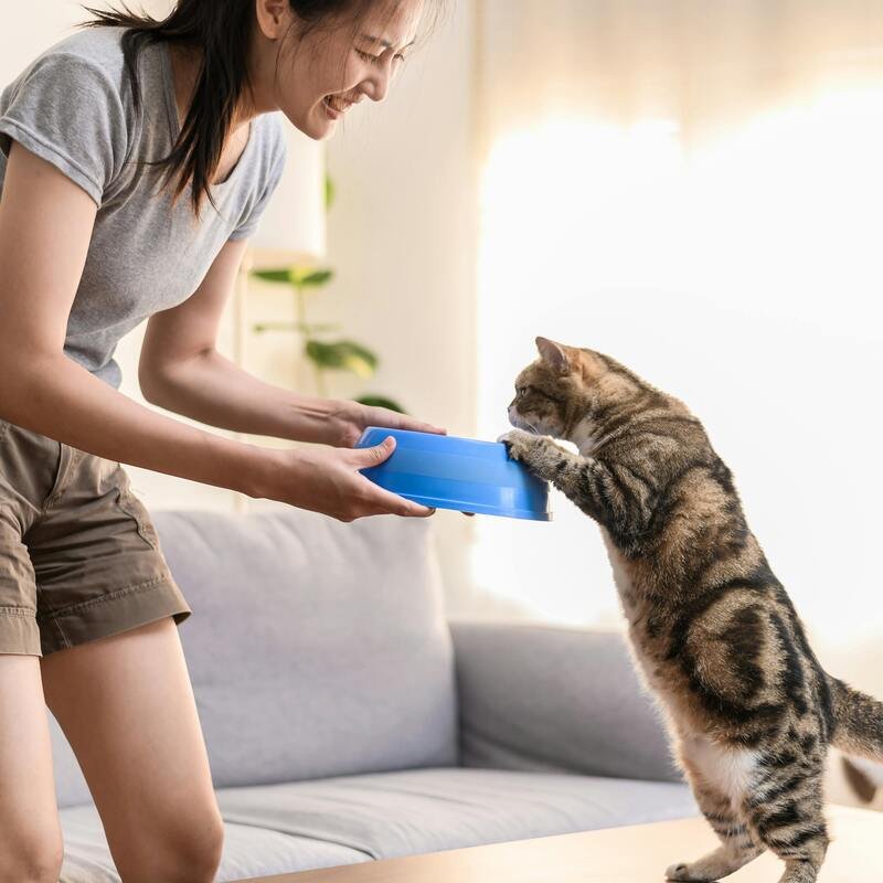 Cat and owner